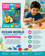 OCEAN MODEL SERIES
