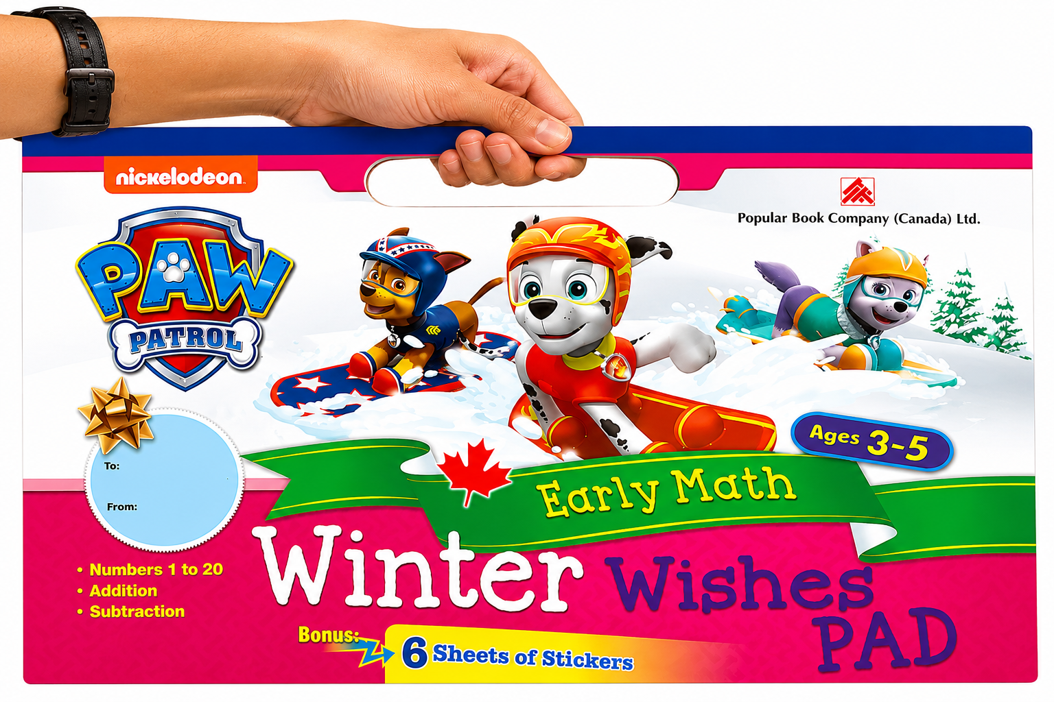 PAW PATROL BOOKS