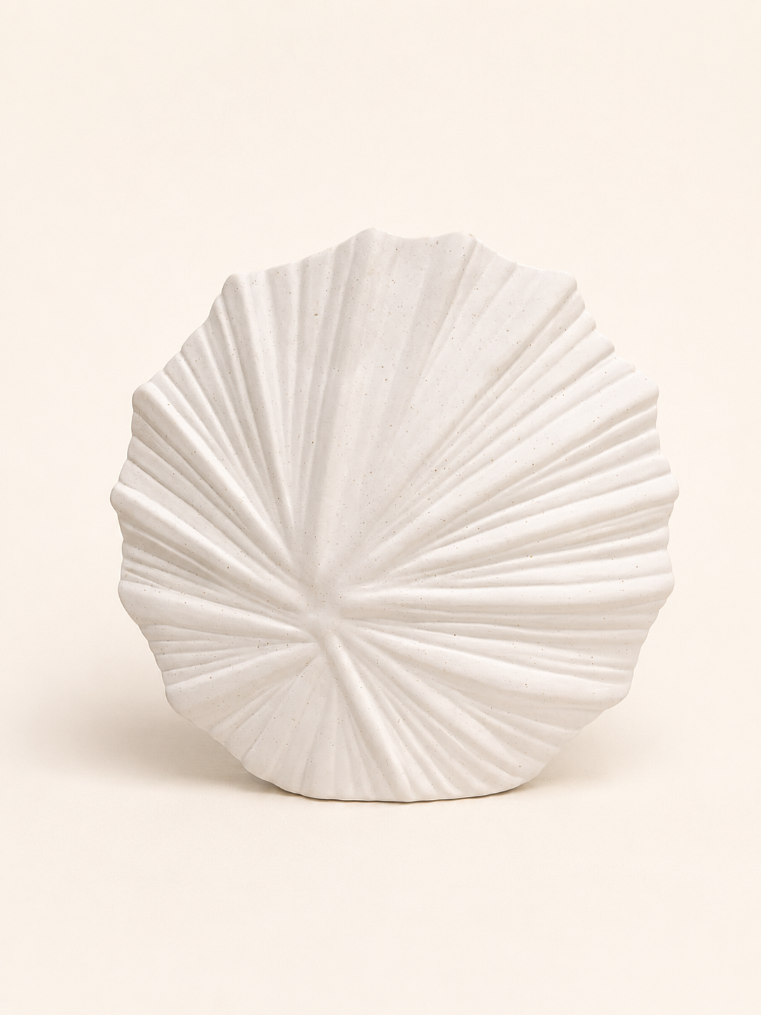 WHITE SCULPTURAL SEA SHELL Secondary image