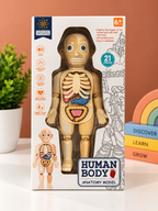 Human Body Anatomy Model – 21-Piece