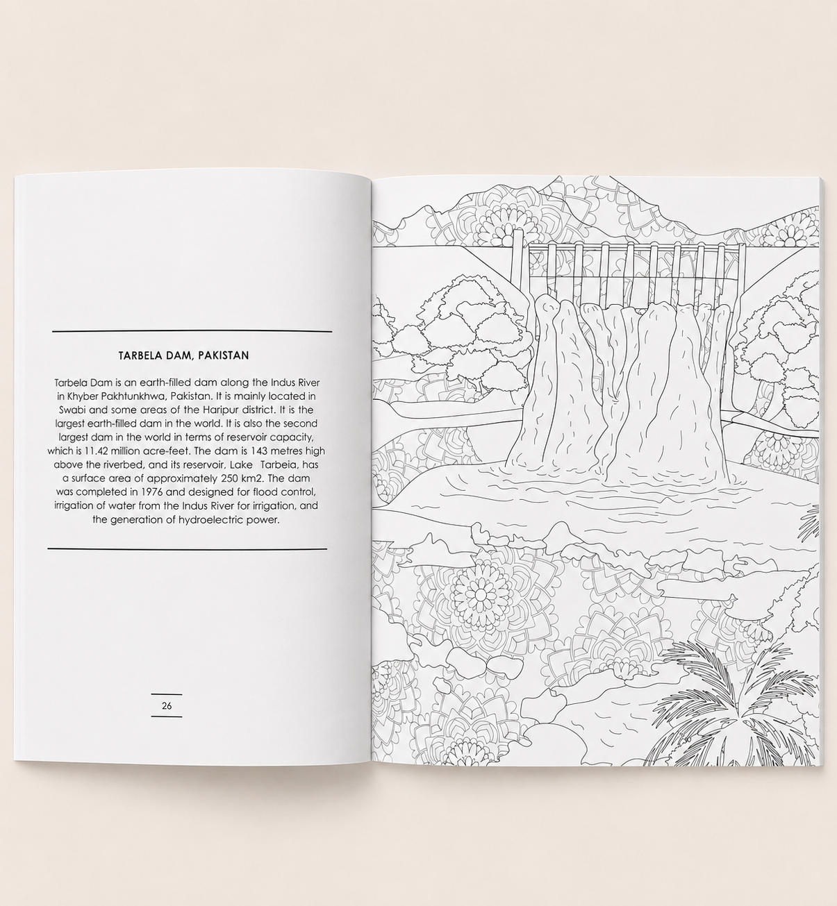 MANDALA COLORING BOOK - ADULTS 2